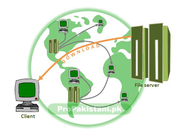 0011 What is Peer to Peer (P2P) File Sharing and How Does it Work?