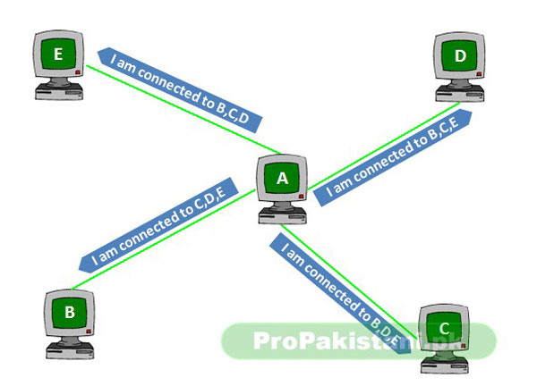 0031 What is Peer to Peer (P2P) File Sharing and How Does it Work?