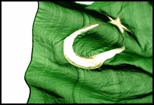 pakistan flag thumb A look at Urdu Blogging