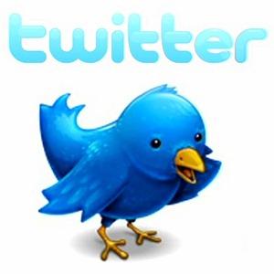 Twitter Logo thumb Twitter Blocked in Pakistan, Facebook Under Threat Too