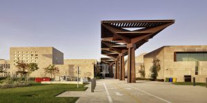 Hamad Bin Khalifa University Scholarship