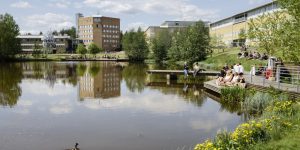 Umeå University Scholarship for International Students at Umeå University