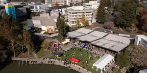 Vice-Chancellor’s International Excellence Scholarship at University of Waikato