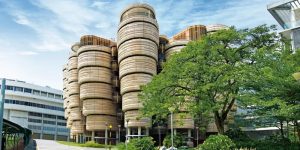 NBS Global Leaders Program Scholarship 2026 at the Nanyang Technological University