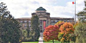 International Merit Scholarships