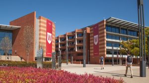 Advanced Drug Delivery Strategies for Respiratory Diseases PhD Scholarship at the Western Sydney University