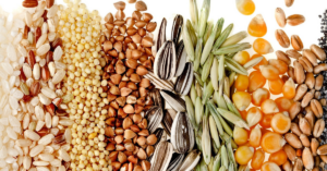 importance of whole grains