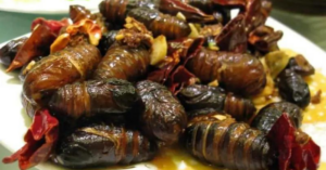 unusual food silk worm