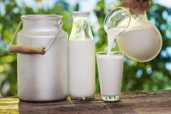 Raw Milk VS Pasteurized Milk