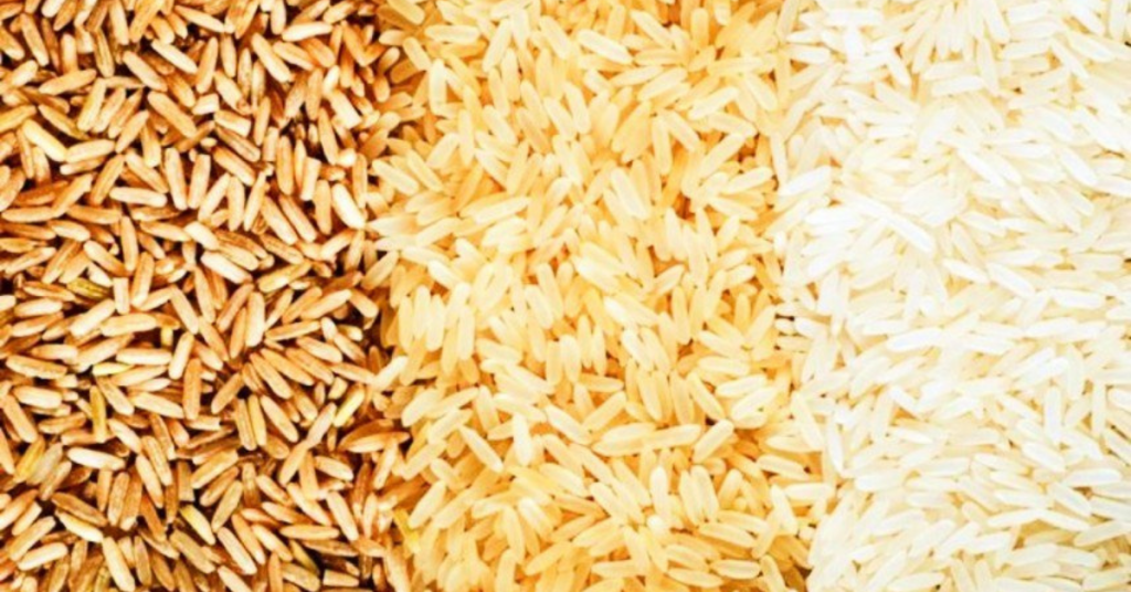 supply of rice