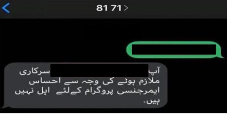 how to check eligibility for ehsaas cash program