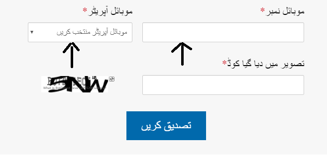 how to apply for ehsaas cash program through ehsaas web portal
