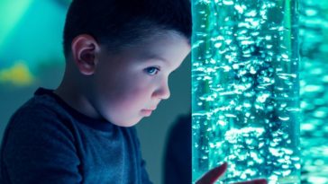 How to Identify a Kid Who Is Suffering From Autism