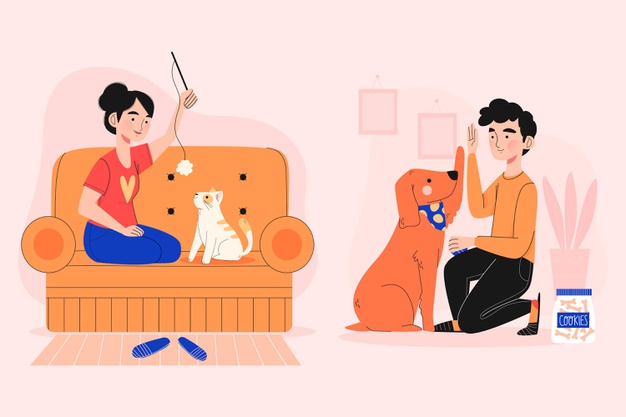 How to Keep Your Pet Happy