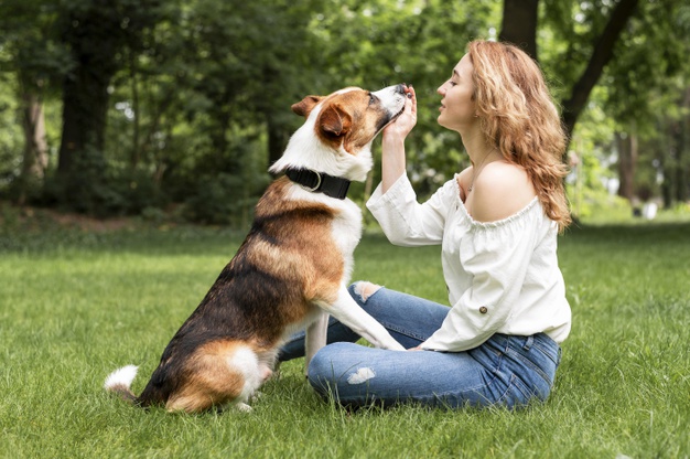 How to Keep Your Pet Happy