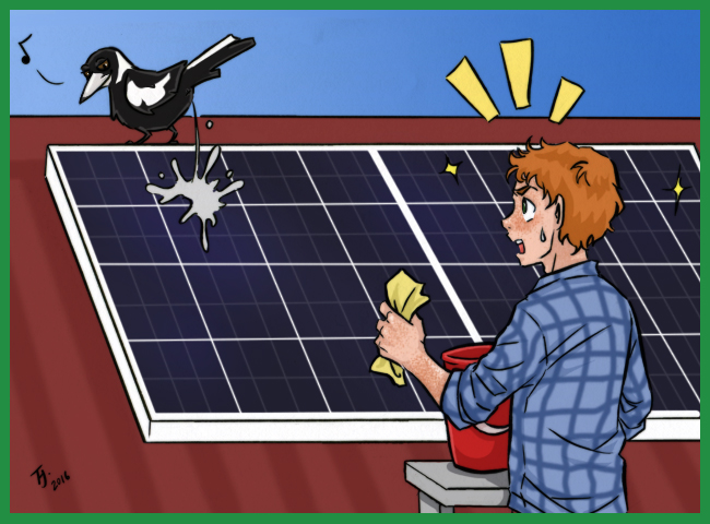 How To Maintain Solar Panels