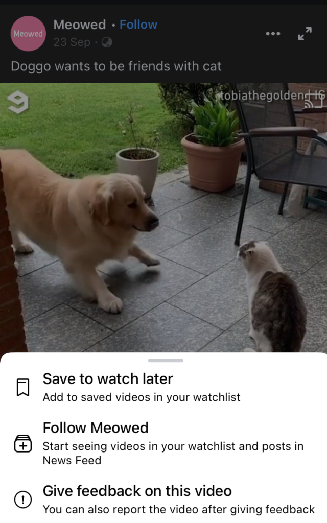 save Facebook videos for later