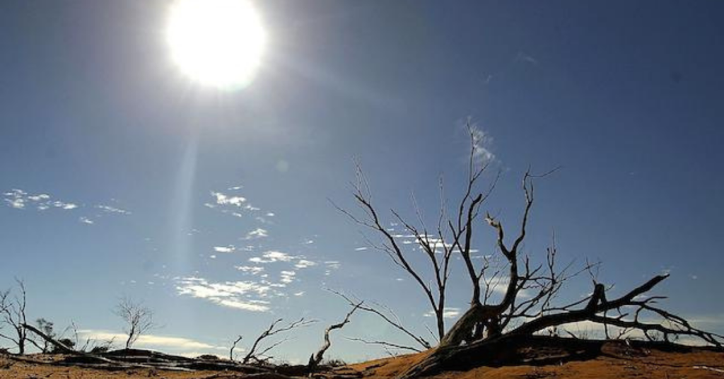 How to Keep Yourself Safe in a Heatwave