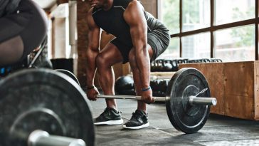 lower body exercises