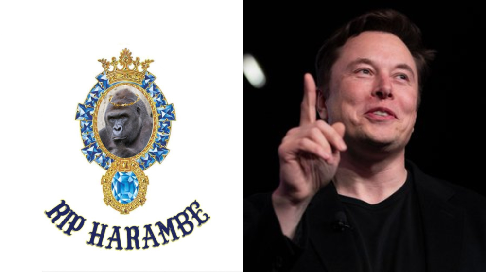 Elon Musk RIP Harambe