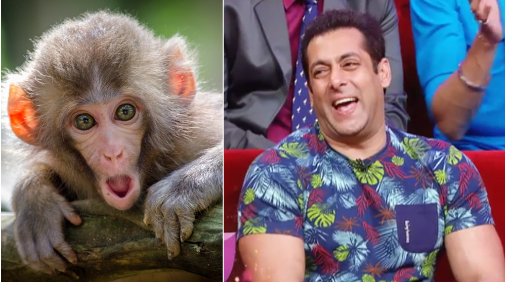 Salman Khan and chimp