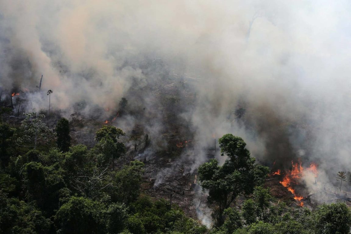 amazon-rainforest-fire