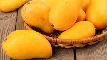 mangoes