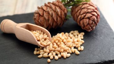 pine-nuts