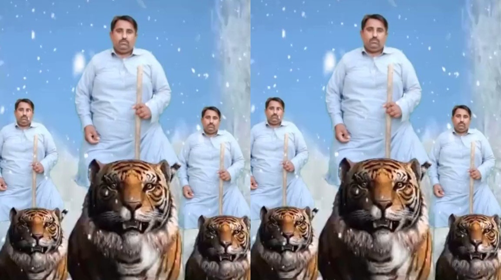 Jam Safdar - Tiger King