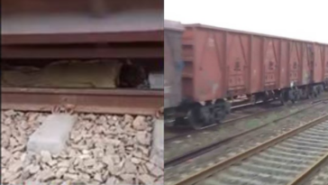 train