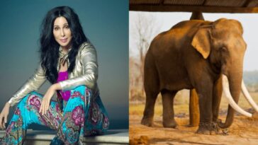 Cher Kaavan
