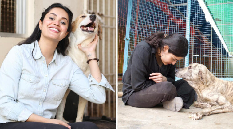 Ayesha Chundrigar Kickstarts Urgent ‘Save The Dogs’ Campaign To End Dog ...