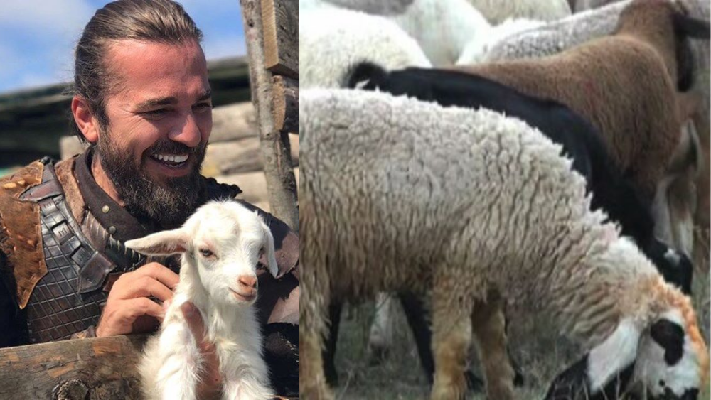 Ertuğrul