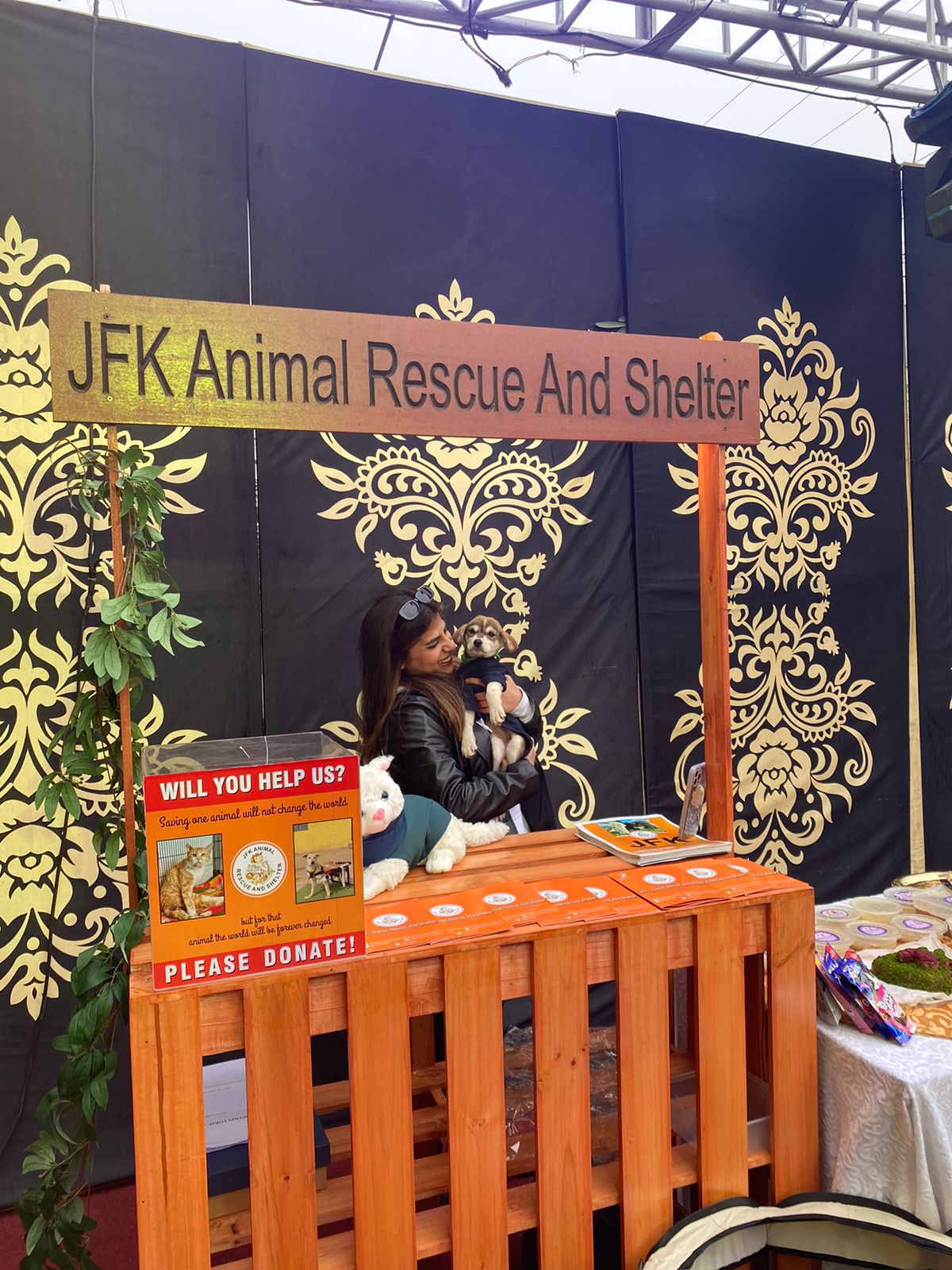 JFK Rescue and Shelter