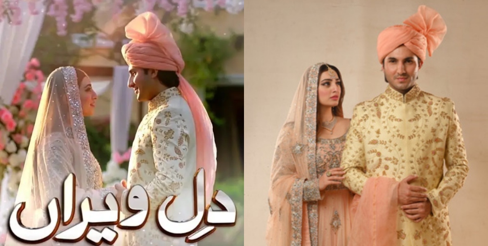 Shahroze Sabzwari - Dil-e-Veeran