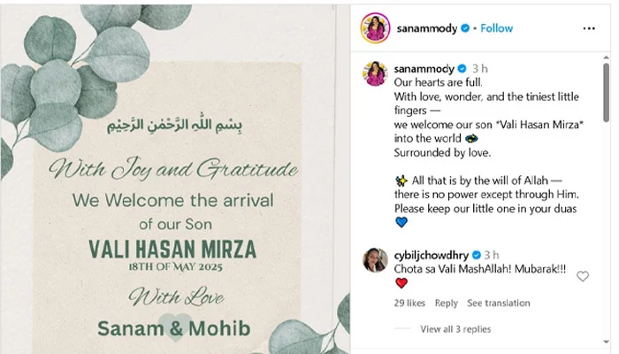 sanam saeed mohib mirza