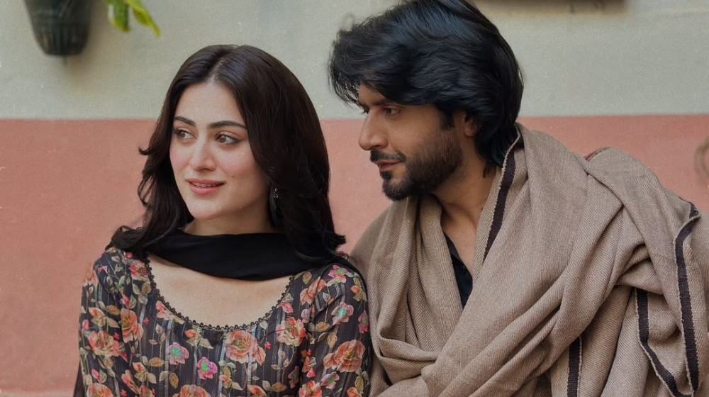imran ashraf hina afridi