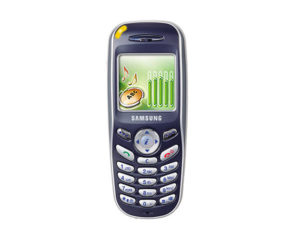 Samsung X100