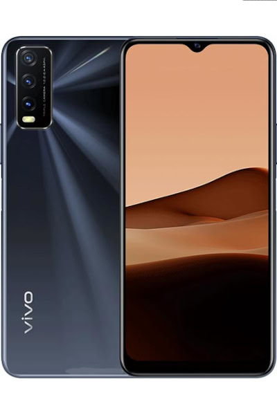 v20t vivo