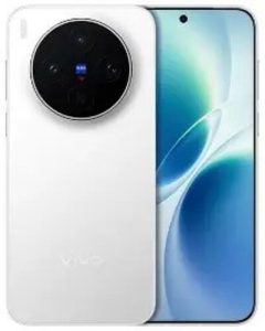 vivo X300s