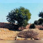 Govt Fails to Retrieve land