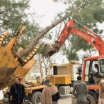CDA Tree Transplanting