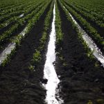 Irrigation Schemes