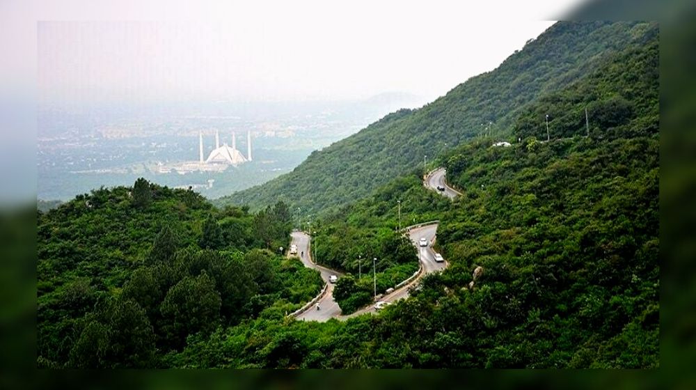 Concerned Departments Set Responsibilities for Margalla Hill National Park Demarcation