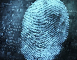 Fingerprint, biometric verification