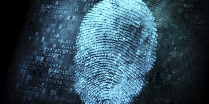 Fingerprint, biometric verification
