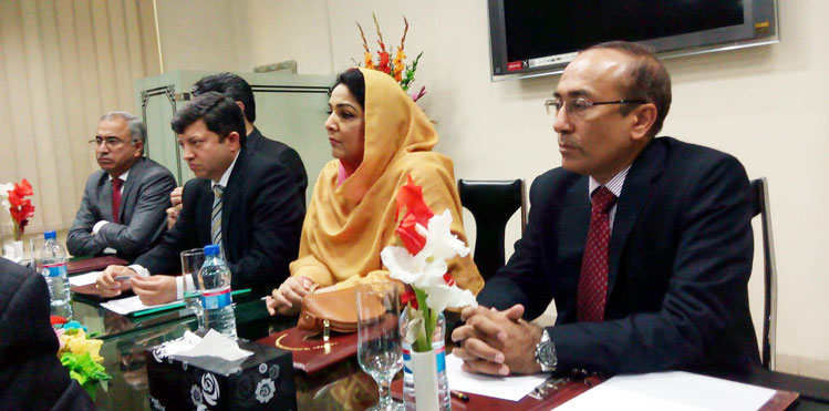 Overseas Pakistanis to Enjoy Low Call Rates to Pakistan: Anusha Rehman
