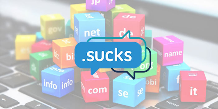 .sucks domain