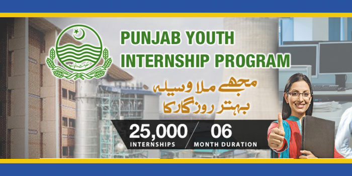 punjab youth internship scheme