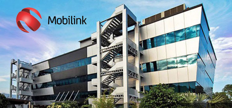 Mobilink to Invest $1 Billion in Pakistan: CEO VimpelCom